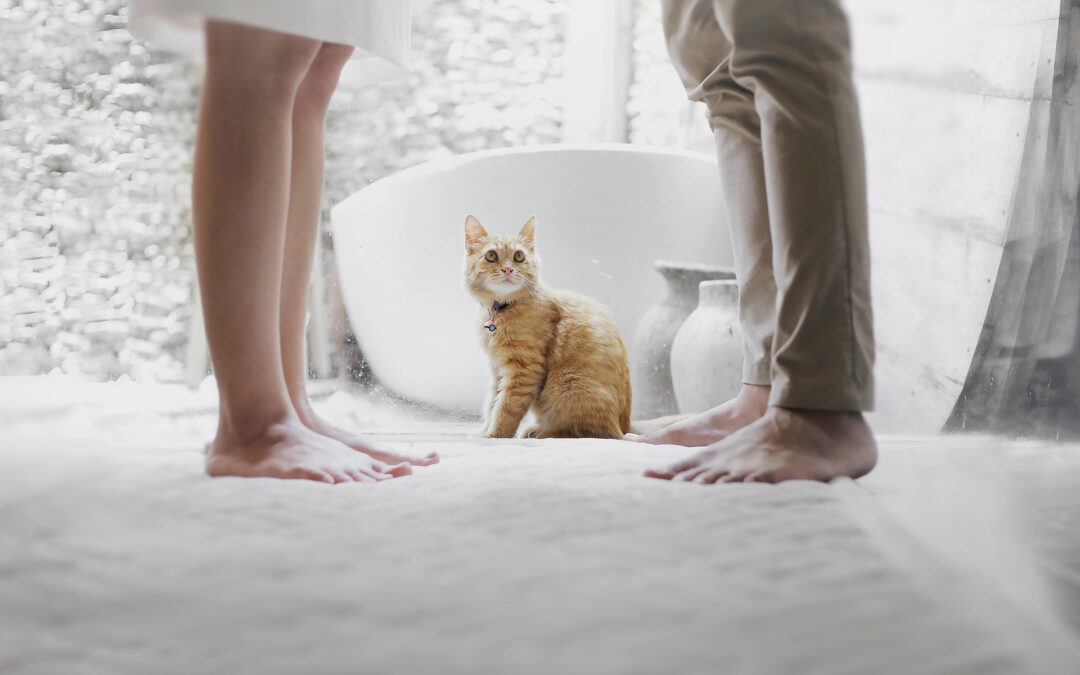 Divorce And Financial Separation
